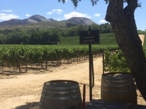 Laborie, Paarl, Kapský poloostrov