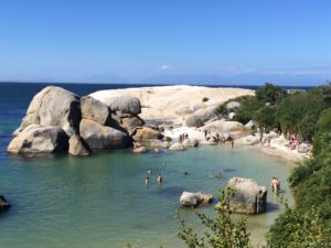 Boulders beach, Kapský poloostrov